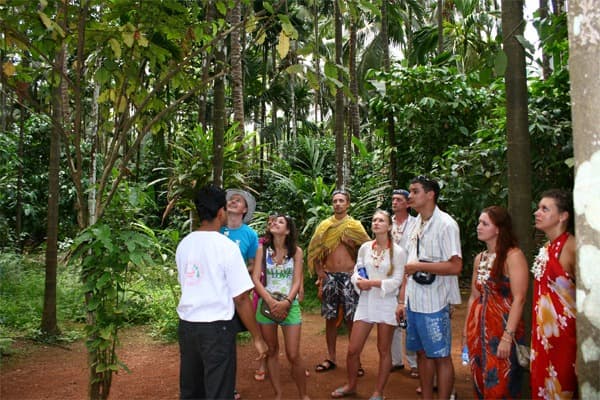 Dudhsagar Falls