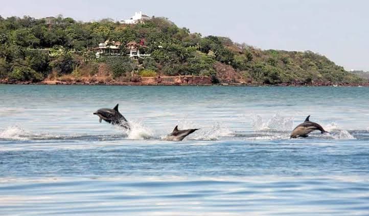 Panaji & Old Goa